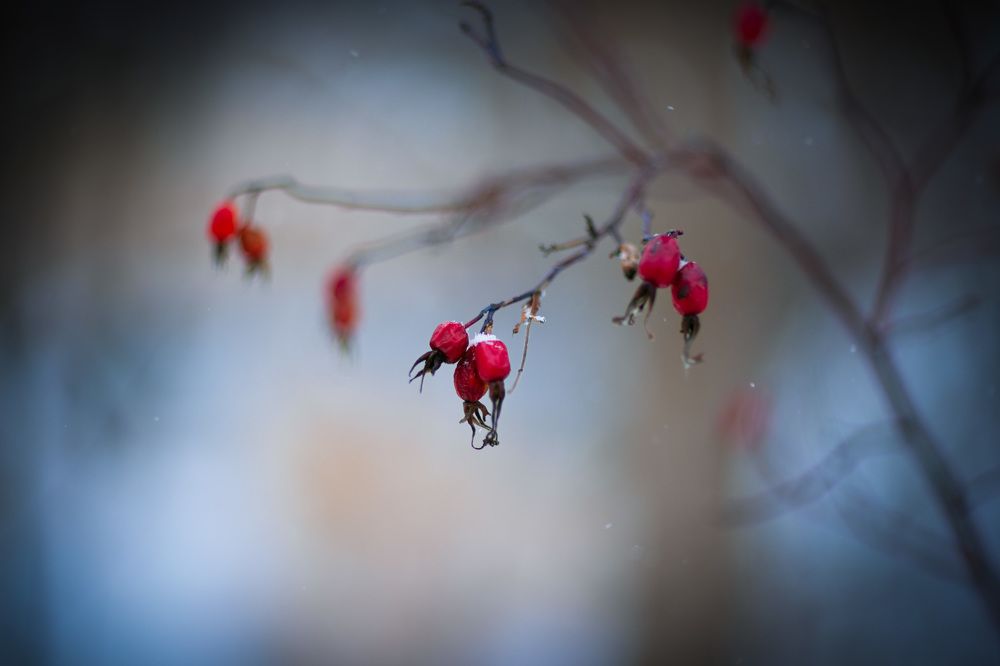 Photograph by Екатерина Овсянникова