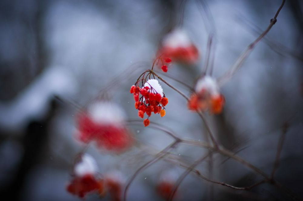 Photograph by Екатерина Овсянникова