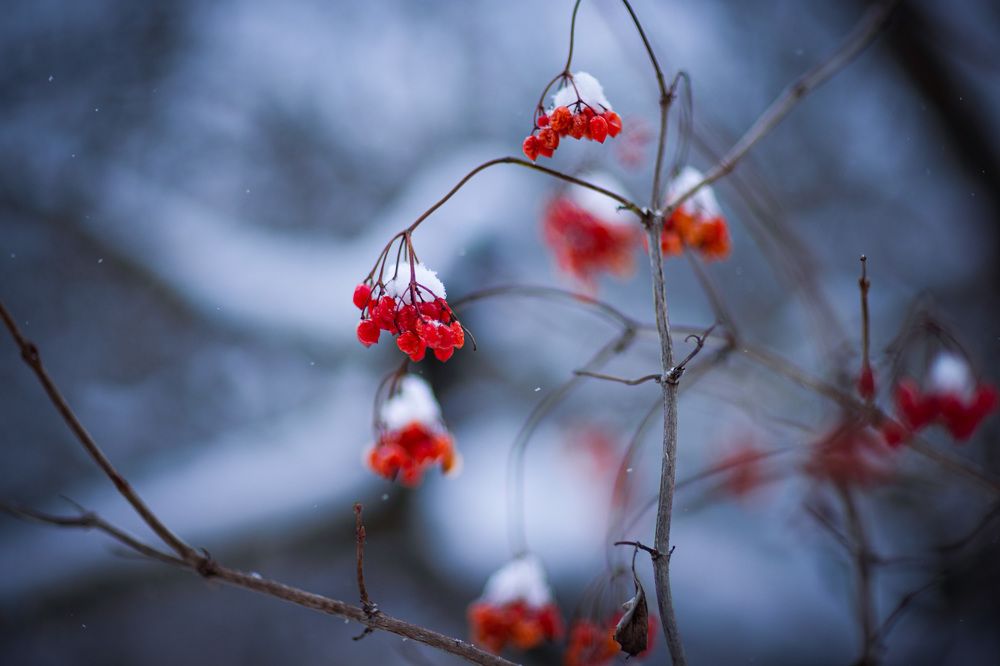 Photograph by Екатерина Овсянникова