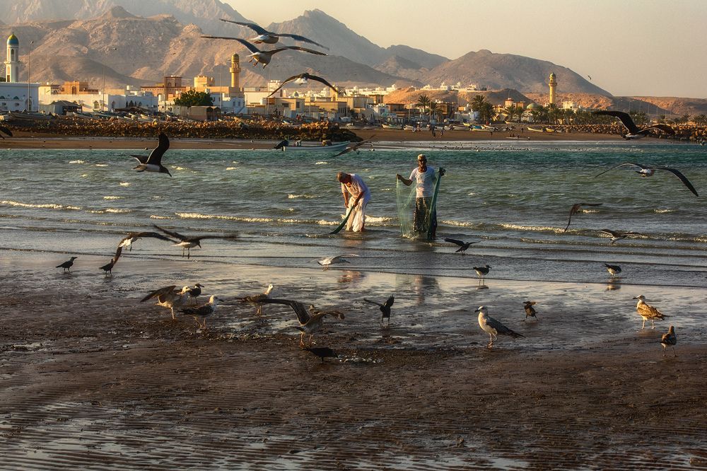 Photograph by Усманов Рашид