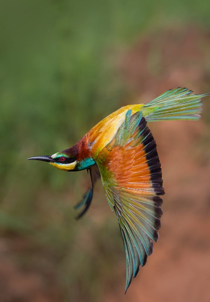 Фотография автора Vyacheslav Lozhkin