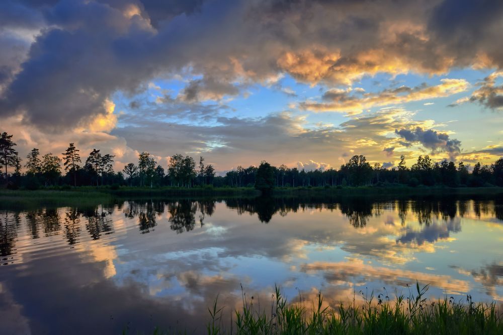 Photograph by Albina Kulikova