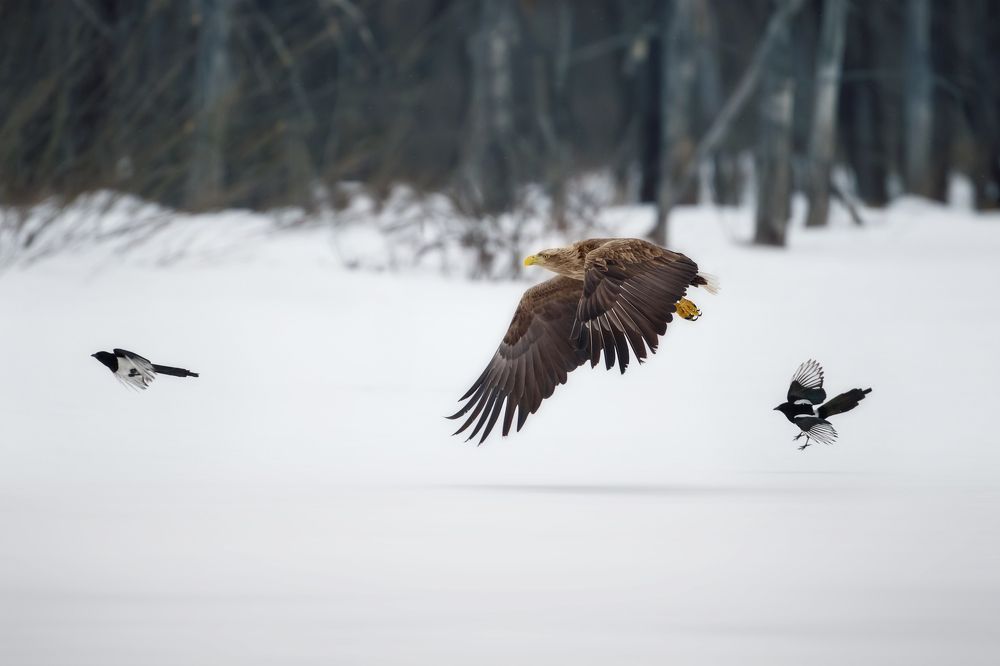 Photograph by Vyacheslav Lozhkin