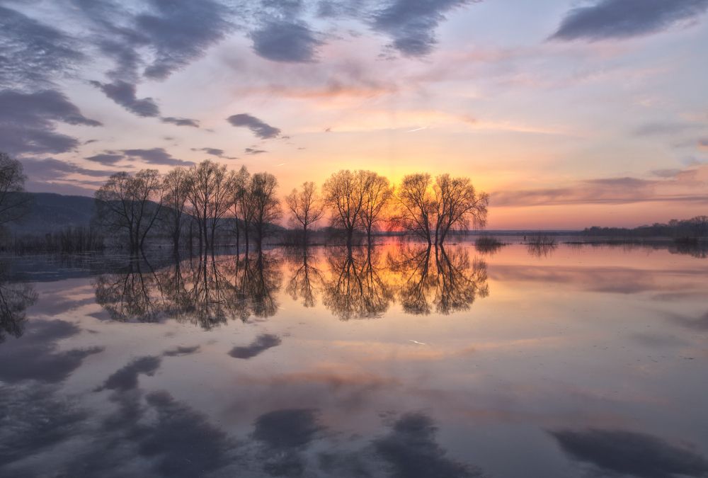 Photograph by Николай Цветков