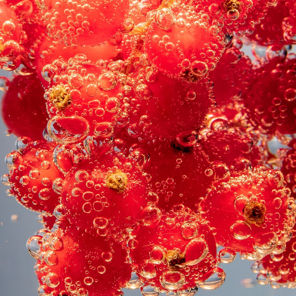 Photograph by Жанна Ляхова