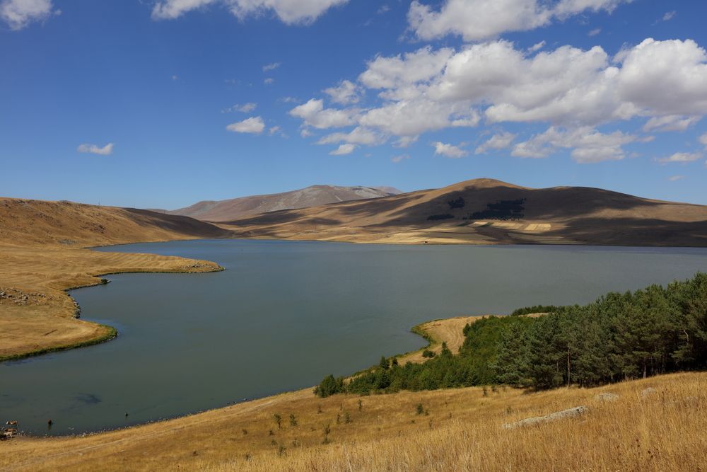 Photograph by Александр Курносов