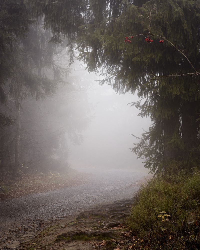 Photograph by Дмитрий Овчинников