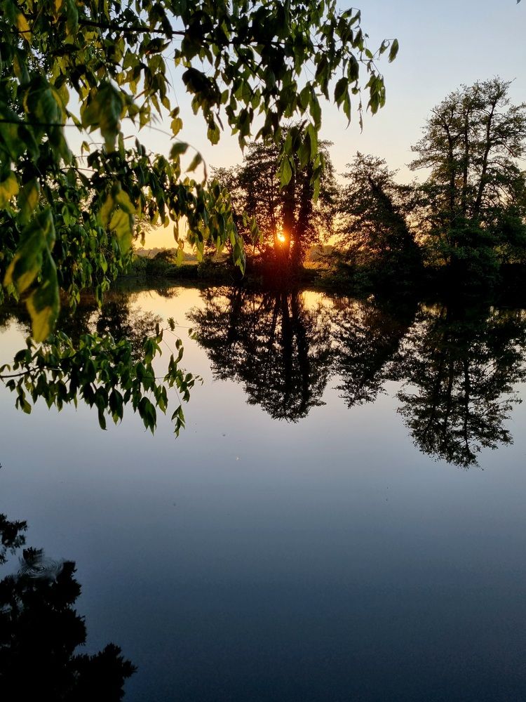 Photograph by Hanna Bourne