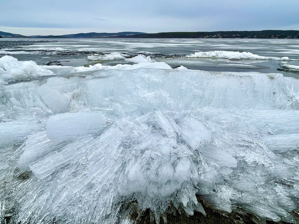 Фотография автора Юлия Шумейко