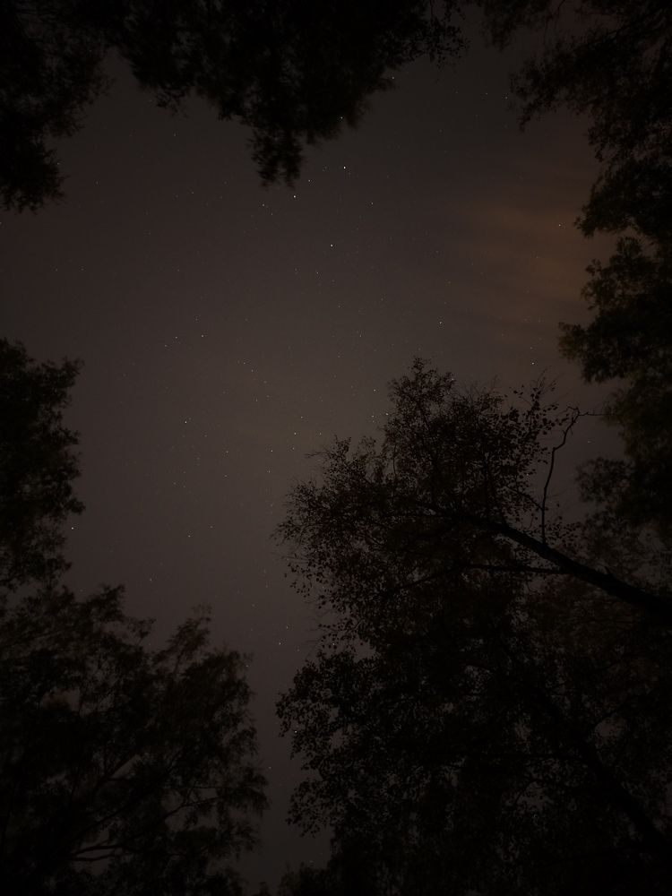 Photograph by Alijon Akbarov