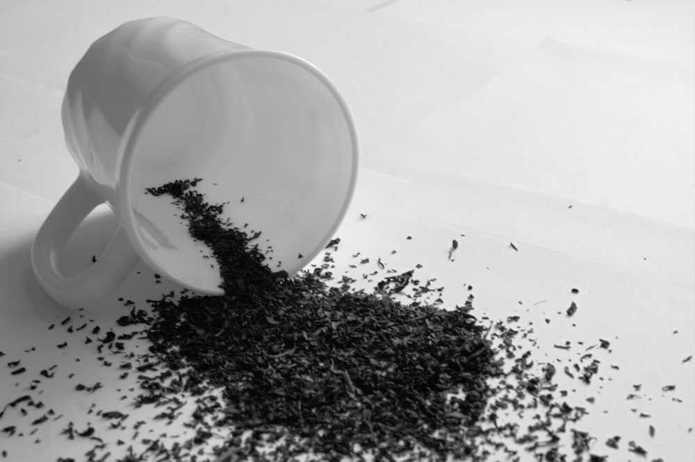 Photograph by Maks315519