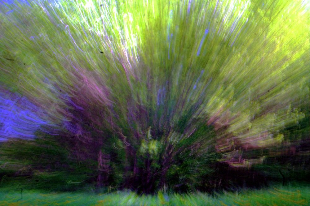 Photograph by Maks315519