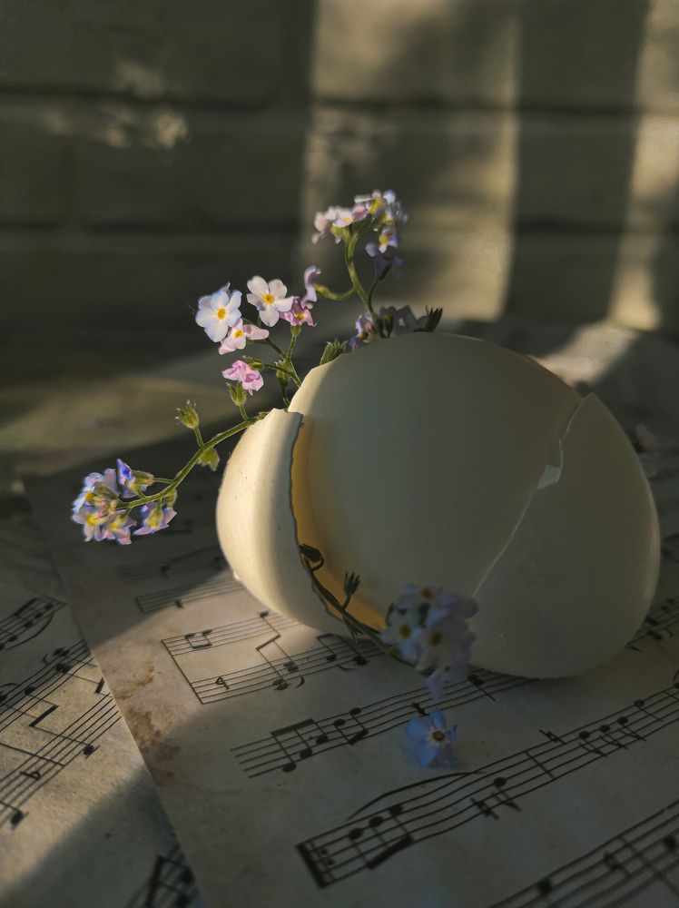 Фотография автора Марина Алексеевская