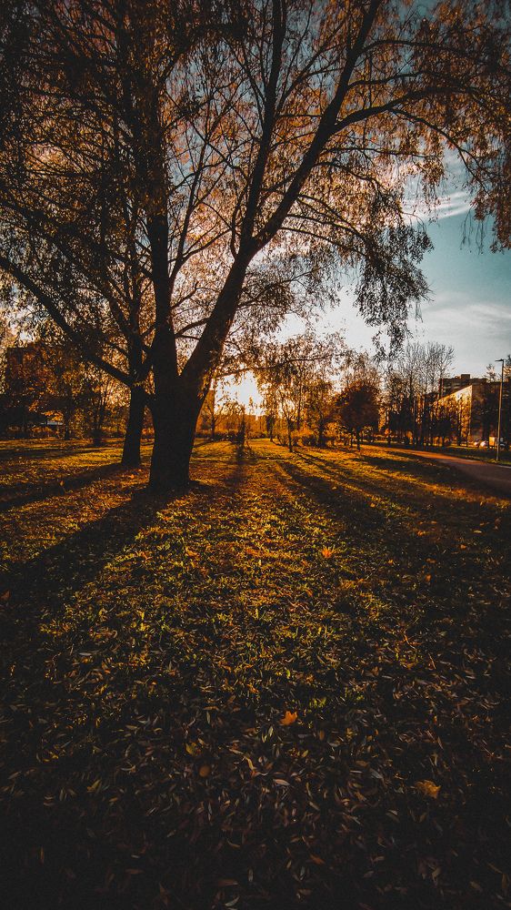 Фотография автора Марина Алексеевская