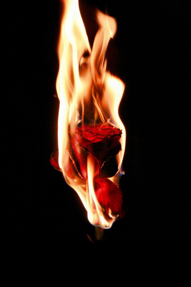 Photograph by Maks315519