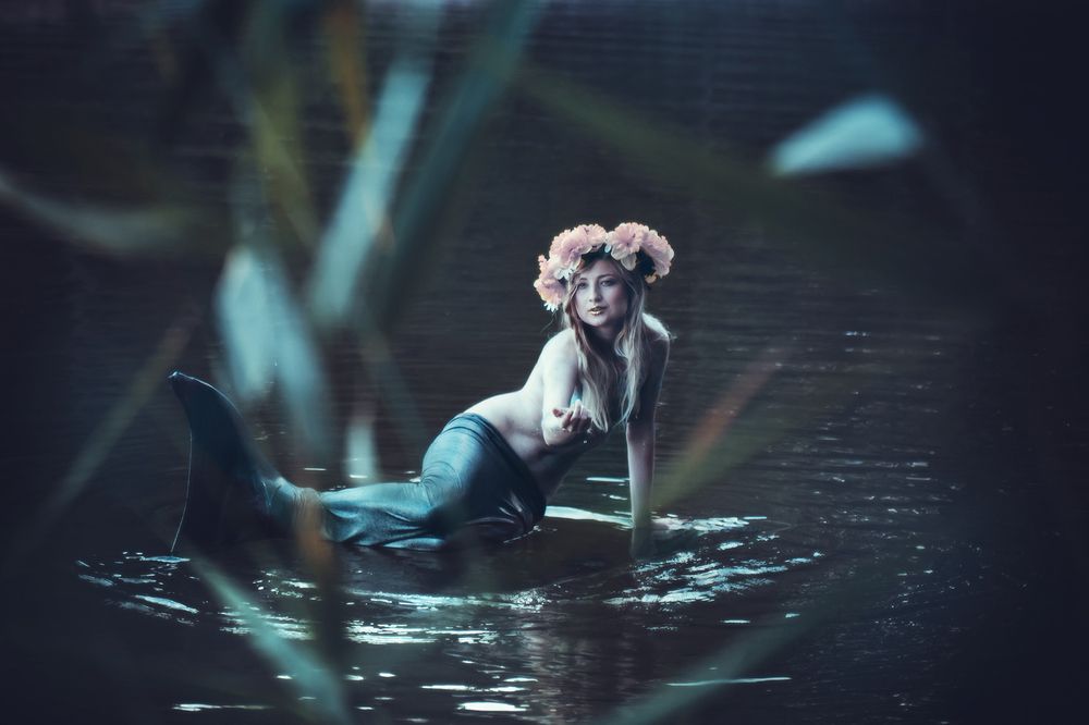 Фотография автора Людмила Сафонова