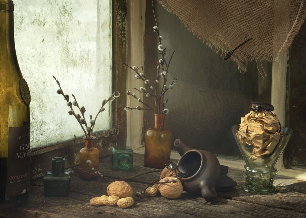 Photograph by Natalia Ricci