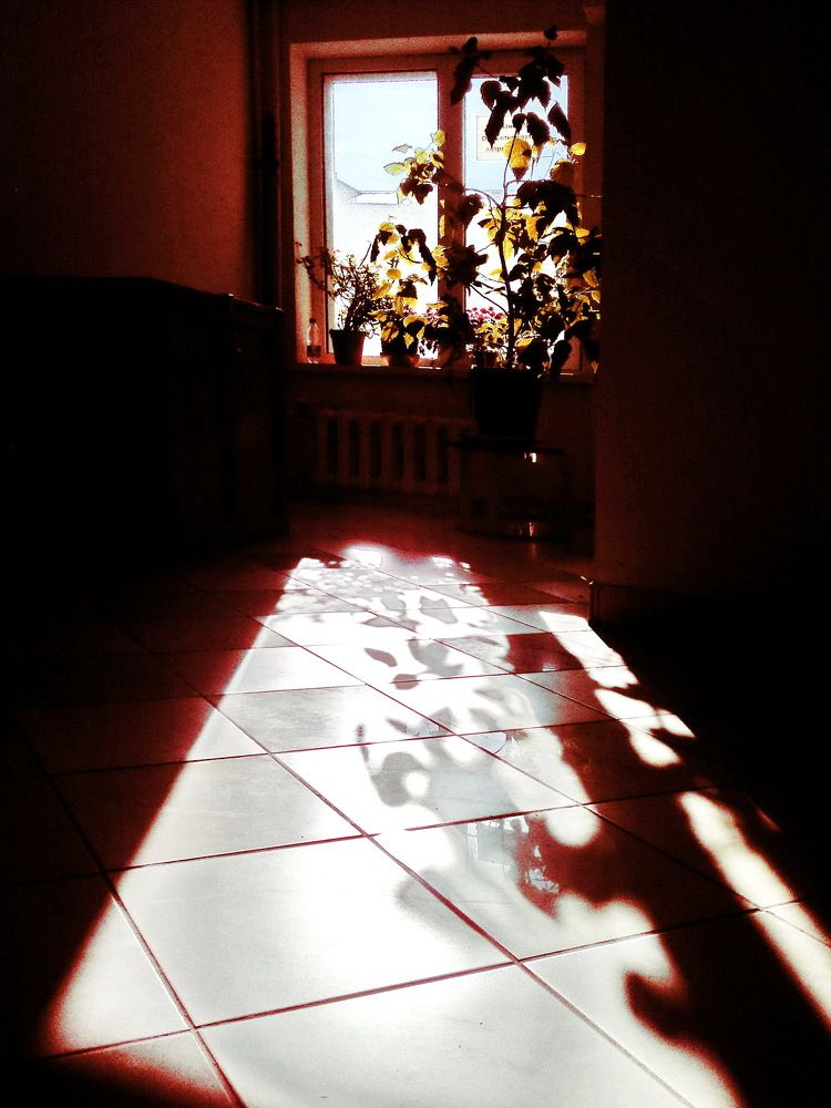 Photograph by Alecsandr Sarbaev