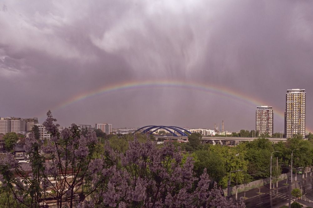 Photograph by Cojanu Silviu