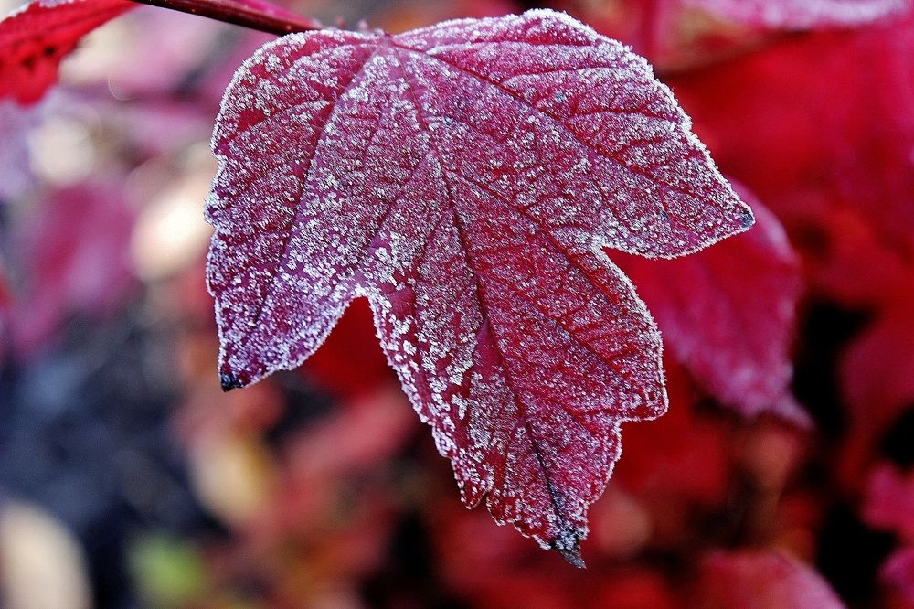 Photograph by Анна Восковых