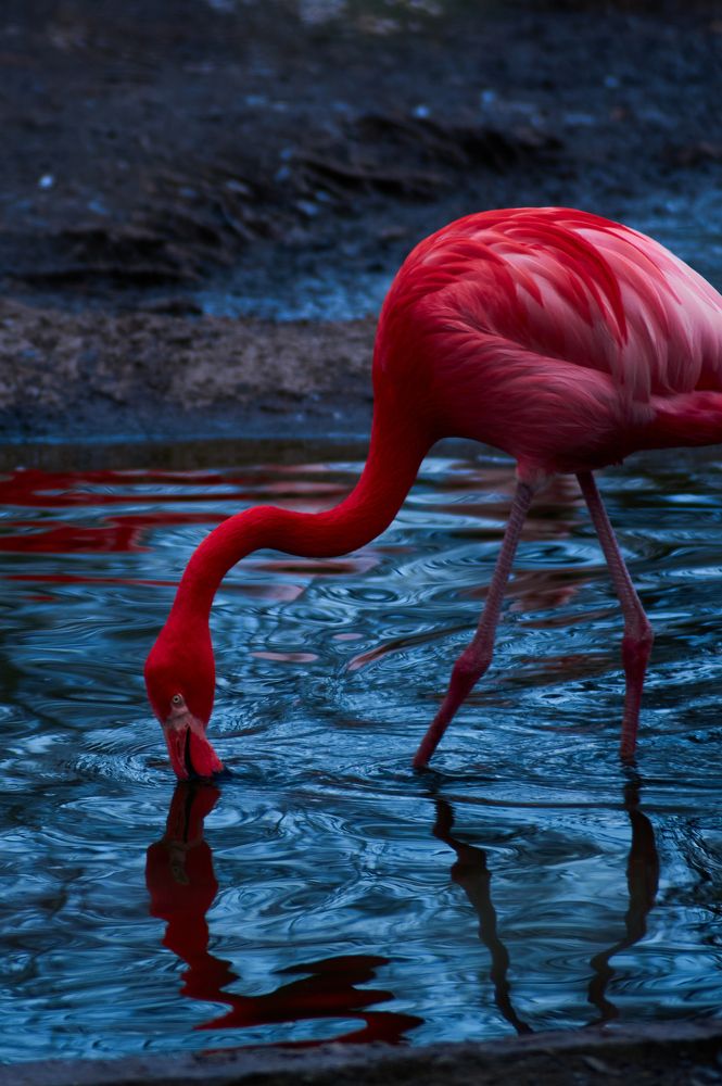 Photograph by Анастасия Пельменёва