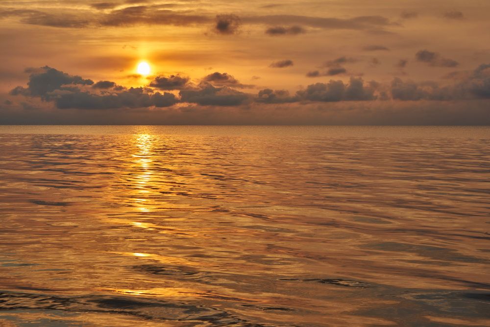 Photograph by Vladimir Kirillov