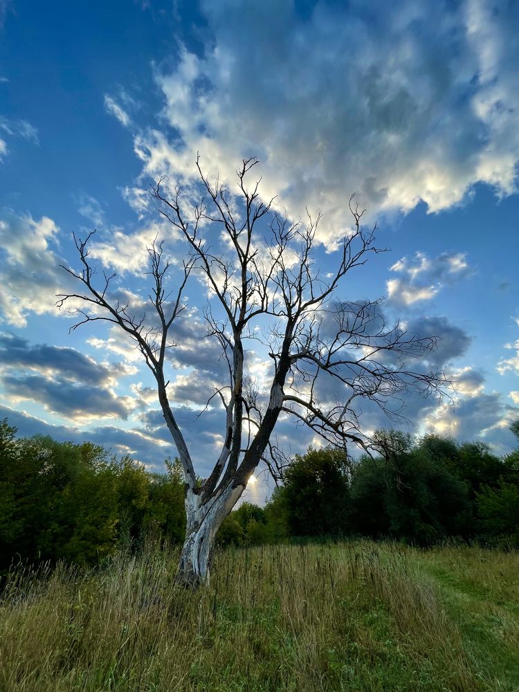 Photograph by Николай