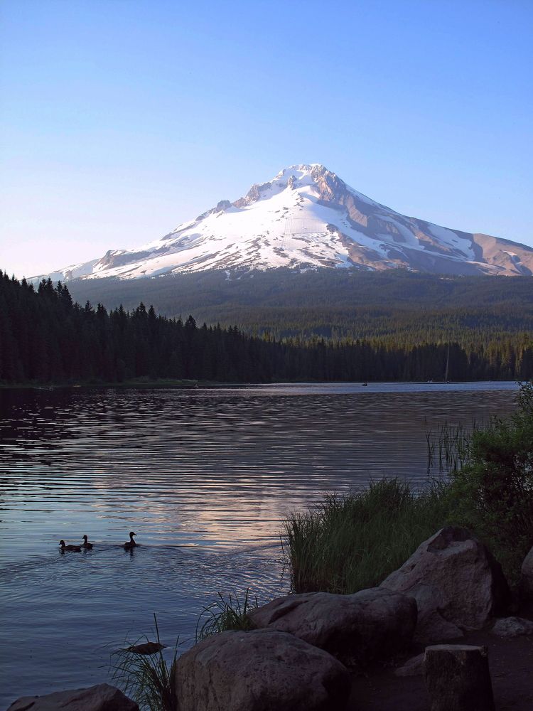 Photograph by Дарья