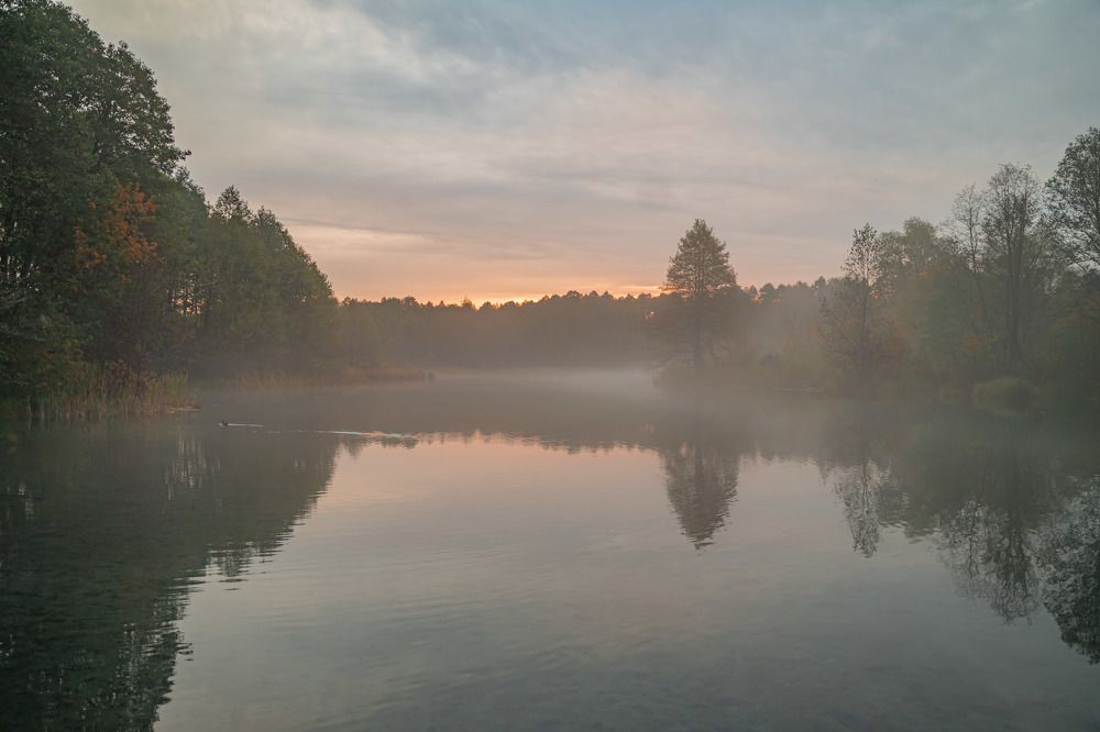 Photograph by Ксения Илюшина