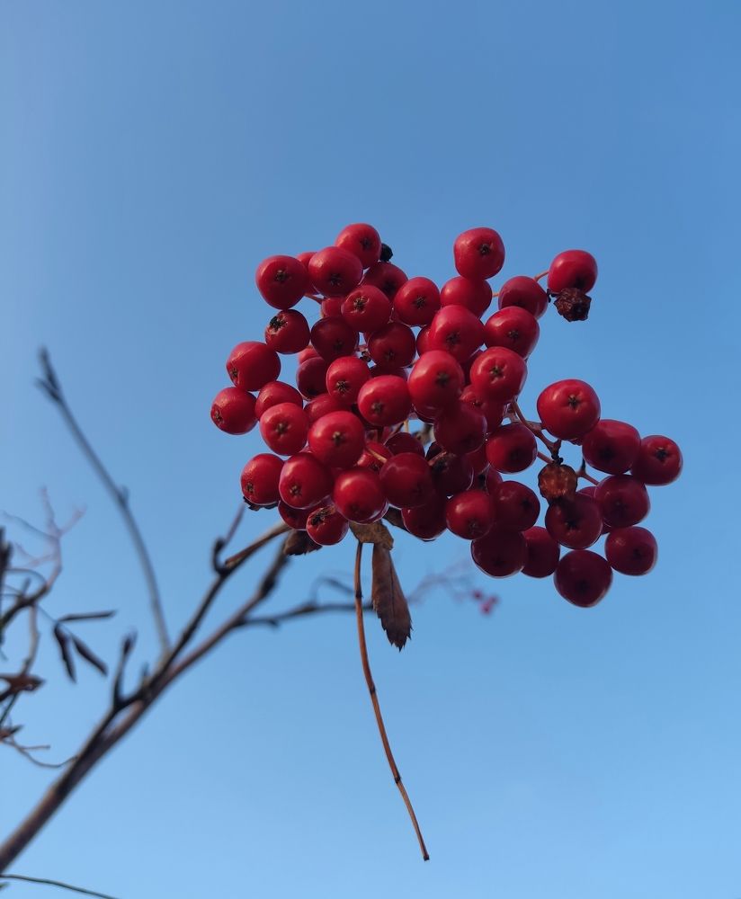 Фотография автора Екатерина