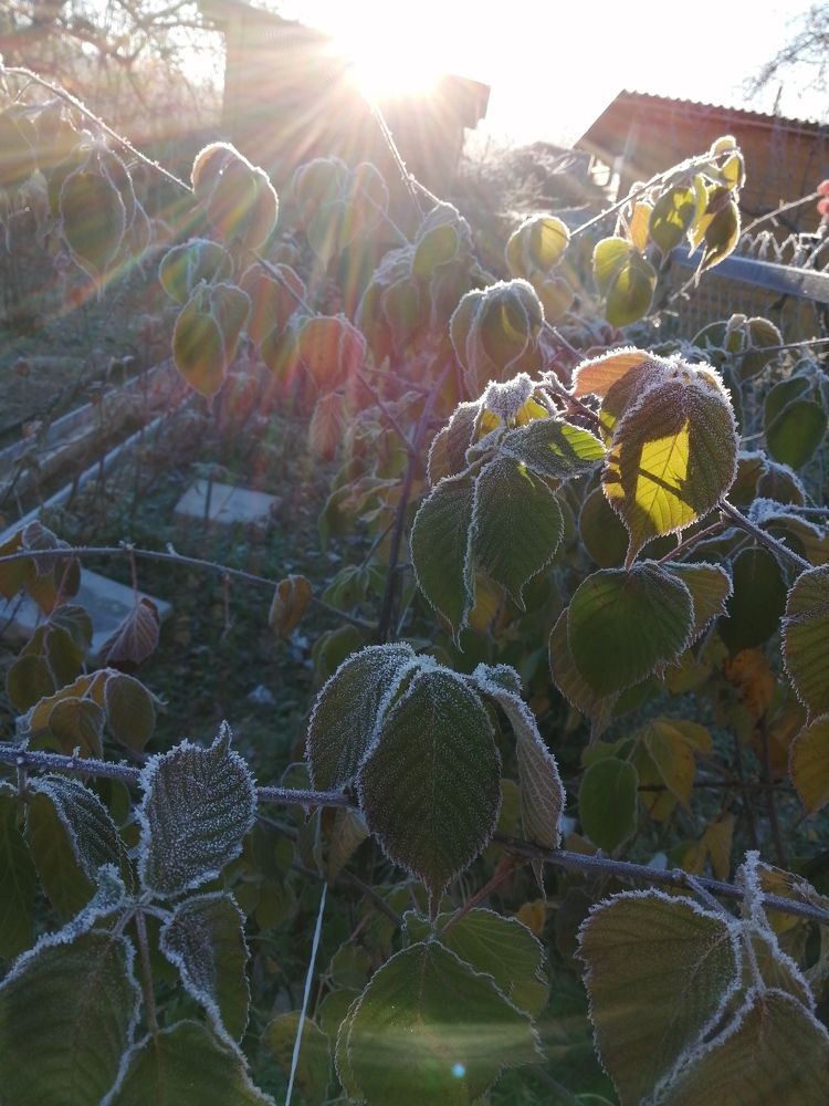 Photograph by Светлана Смердова