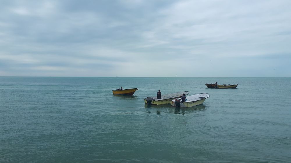 Photograph by Ghazal Ardeshirzadeh