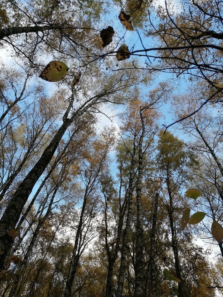 Photograph by Светлана Смердова