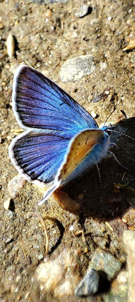 Photograph by Нина Иоселиани