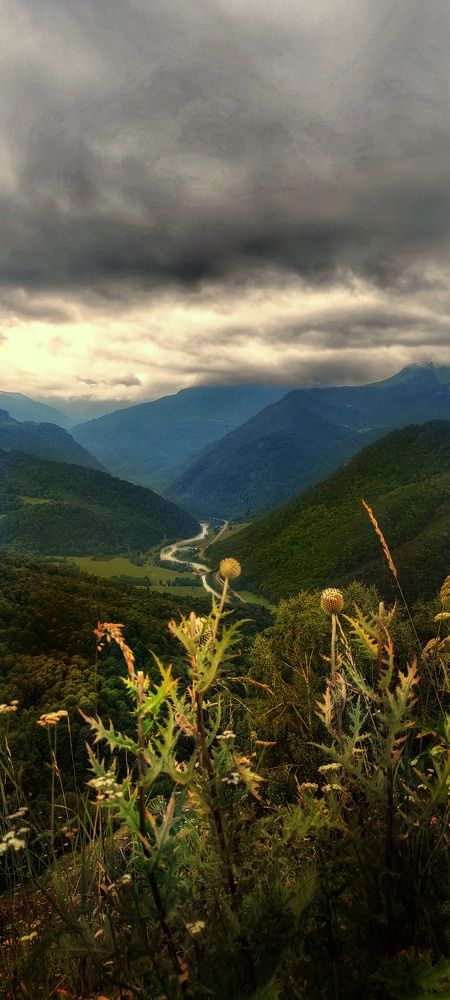 Photograph by Нина Иоселиани