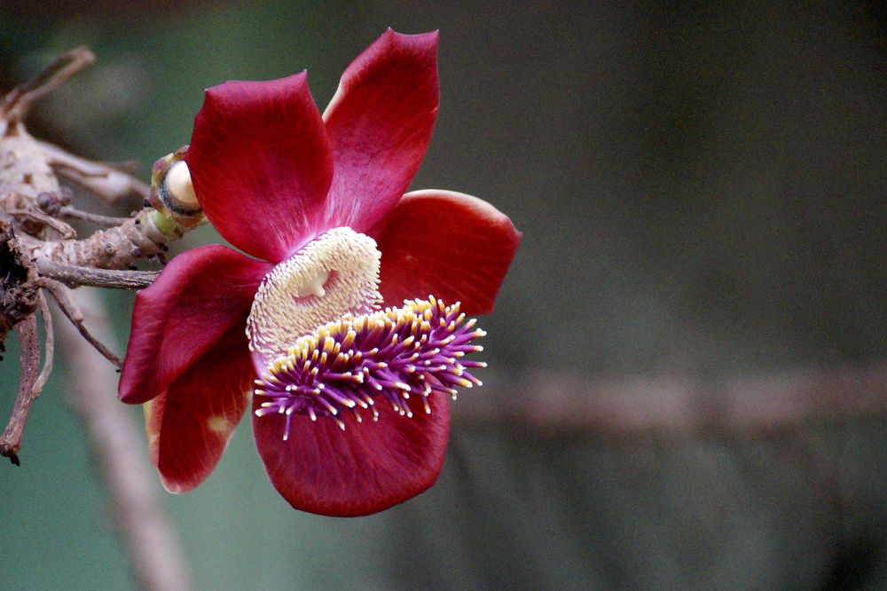 Photograph by Luisa Martina Hernández