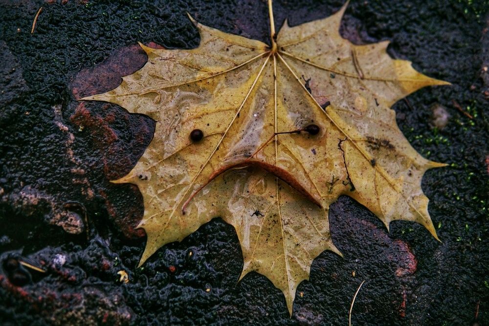 Photograph by Екатерина Яковлевская