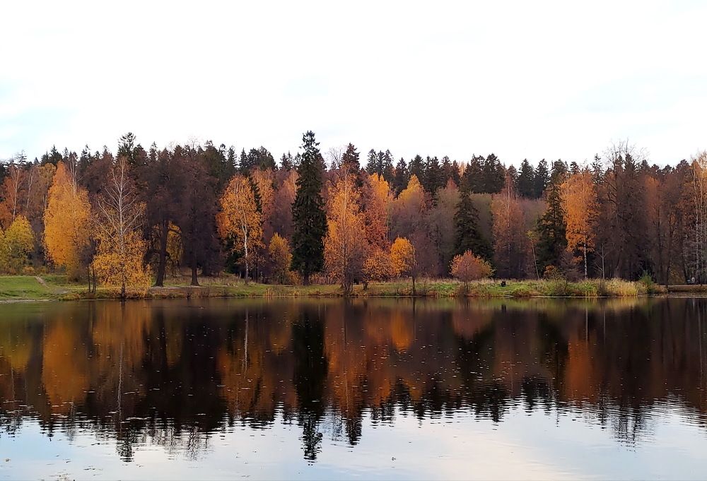 Photograph by Alecsandr Sarbaev