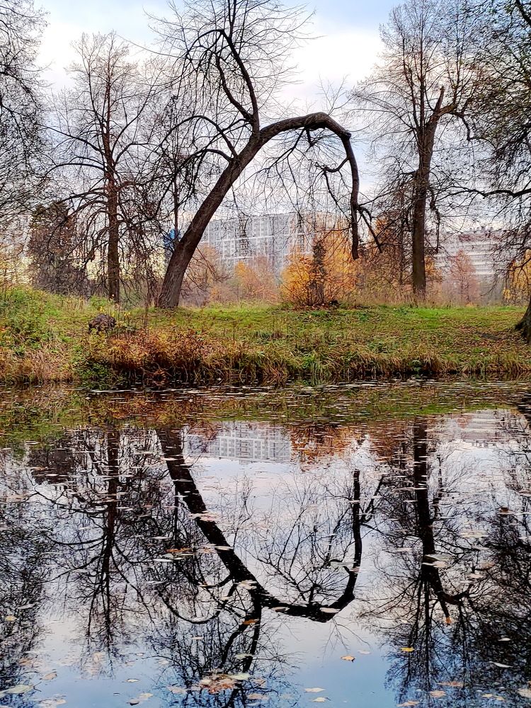 Photograph by Alecsandr Sarbaev