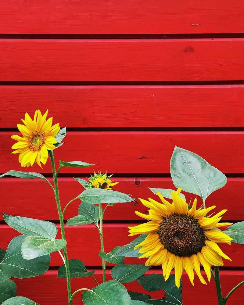 Photograph by Мария