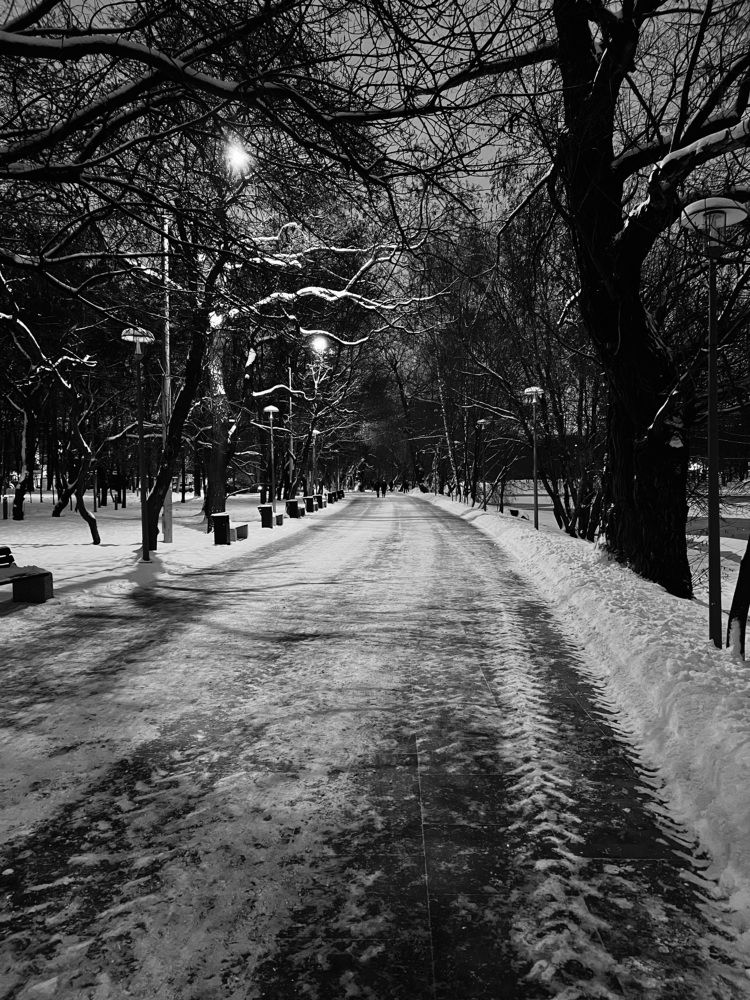 Фотография автора Олег Черкасов