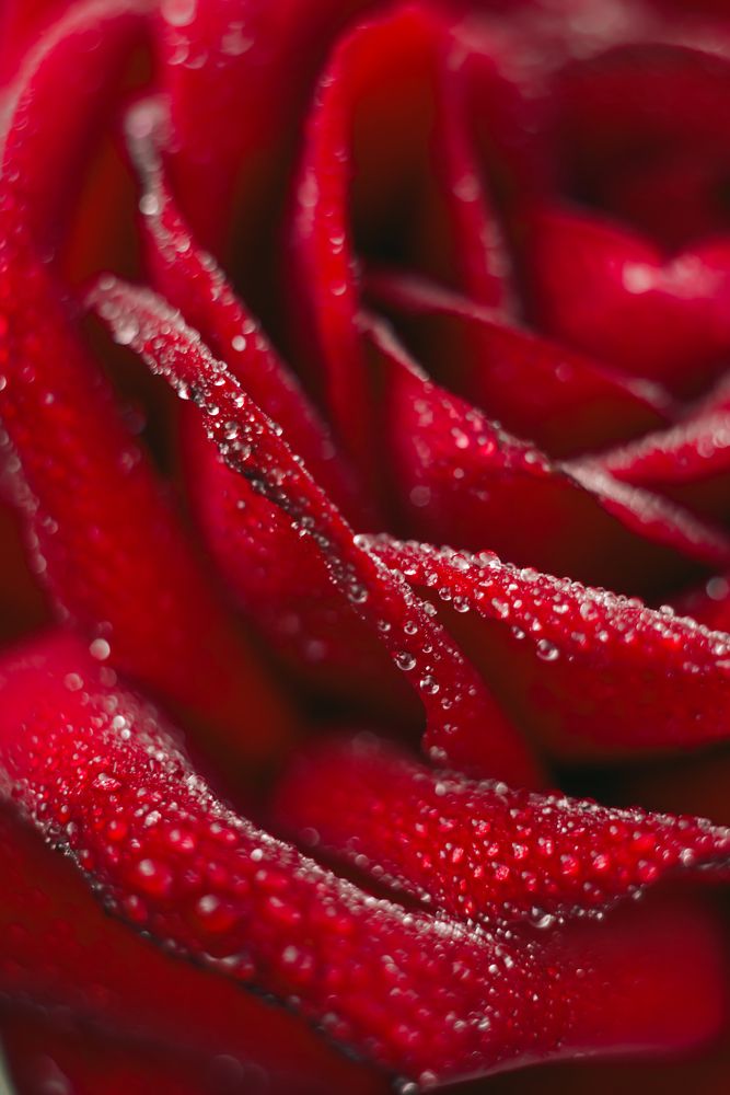 Photograph by Анна Бобкова