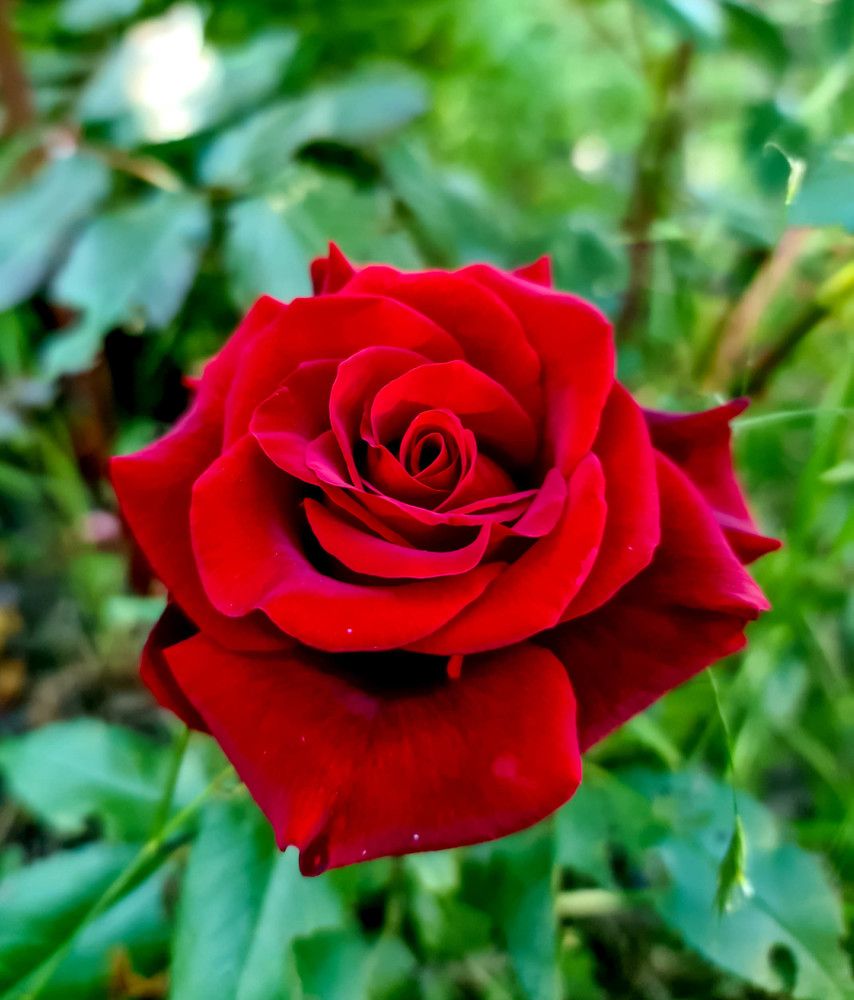 Photograph by Сергей Мамалюк