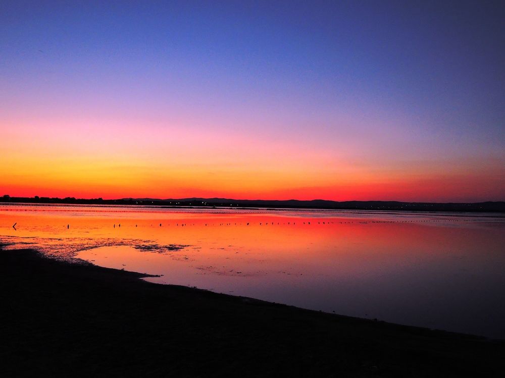Photograph by Наталия Романова