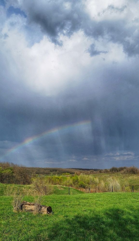 Photograph by Любовь Колмакова
