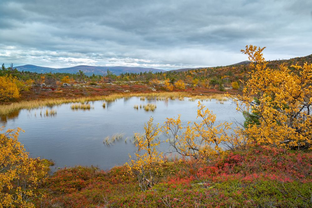 Photograph by Павел Шемякин