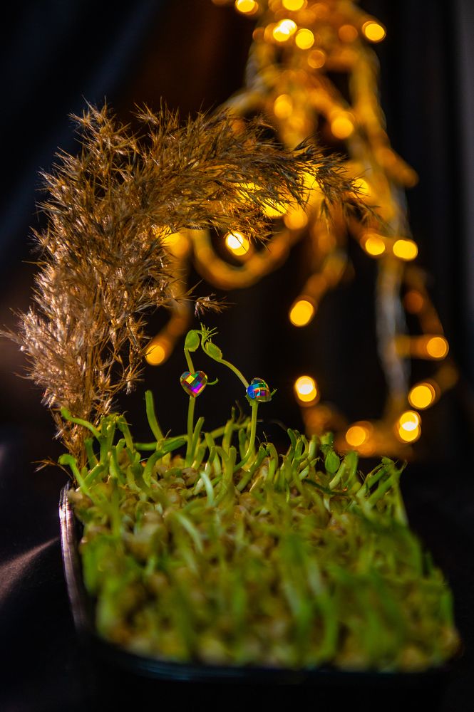 Photograph by Анастасия Ломаева