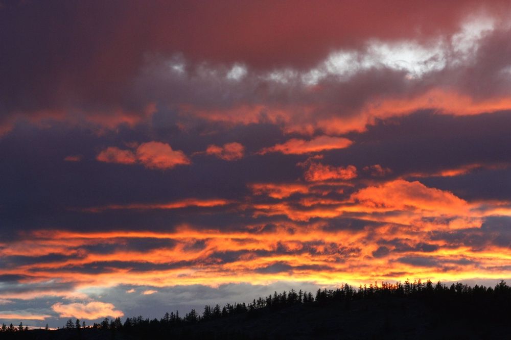 Photograph by Мария Самоловова