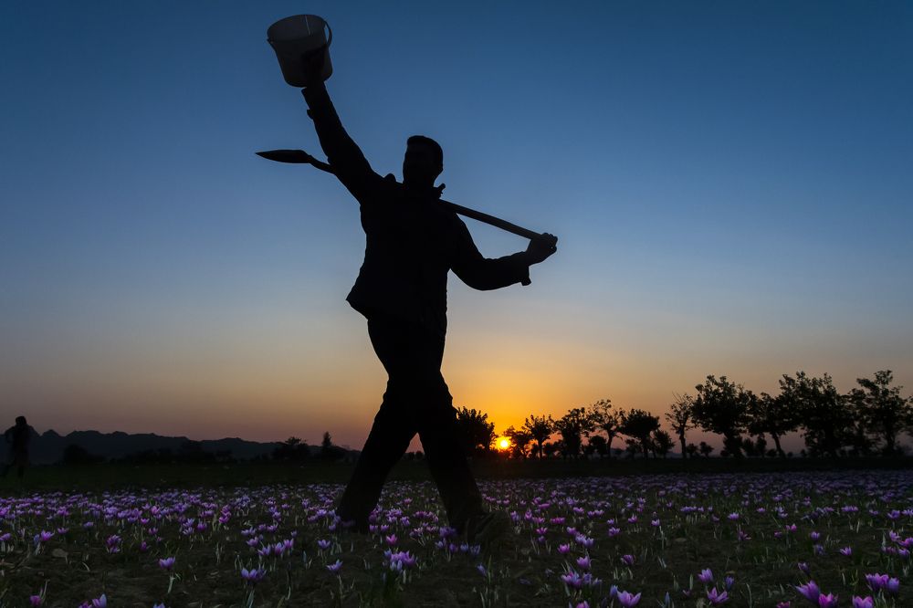 Photograph by mehdi mohebi pour