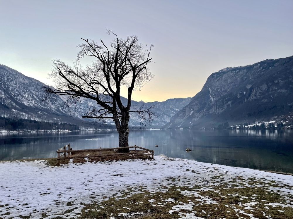 Photograph by Eastpearl